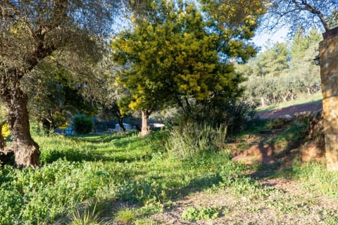 Off site, Natural landscape, Garden