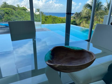 Luxury Villa Cascada- infinity oceanview pool and elevator Villa in Isla Mujeres