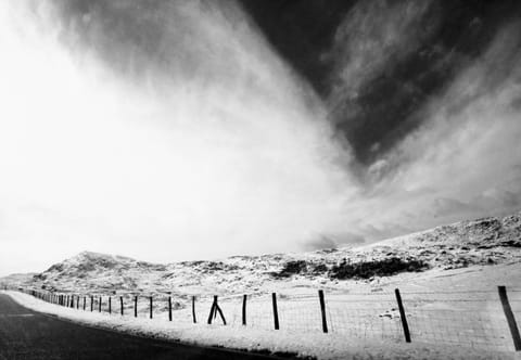 Shifty Chicken Shack Chalet in Trawsfynydd