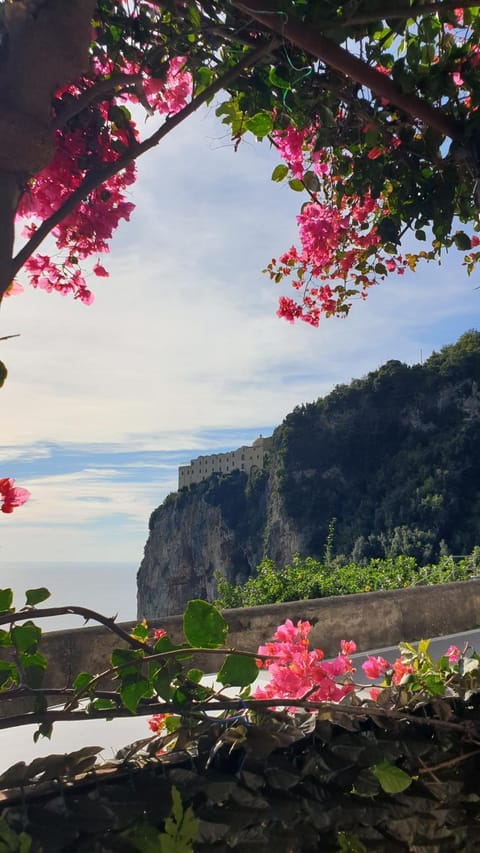 Natural landscape, Sea view