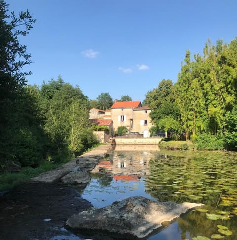 Property building, Natural landscape, Canoeing, Animals, Animals, River view, Family, Family