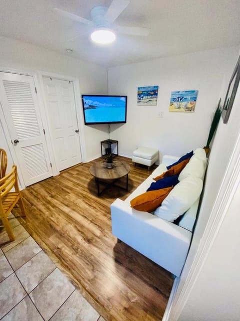 Two Fully Equipped Apartments and a Studio 5 miles from the beach Condo in St Petersburg