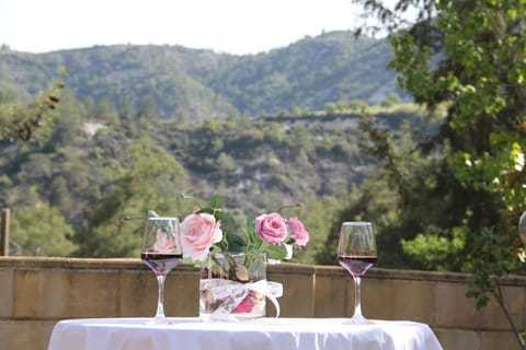 Balcony/Terrace, Mountain view