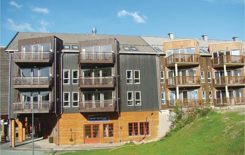 Hemsedal Skisenter Apartment in Viken, Norway