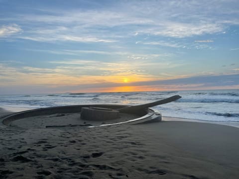 Garden, Sea view, Sunset