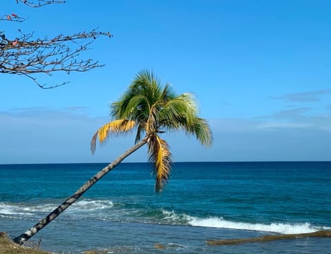 Day, Natural landscape, Beach