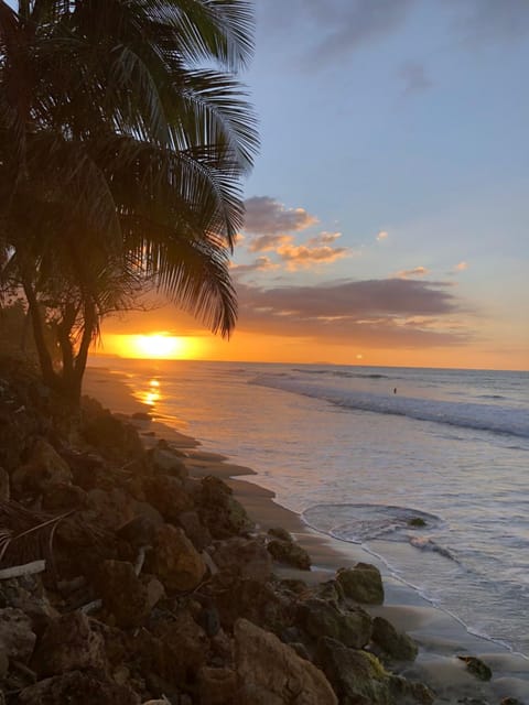 Natural landscape, View (from property/room), Sea view, Sunset