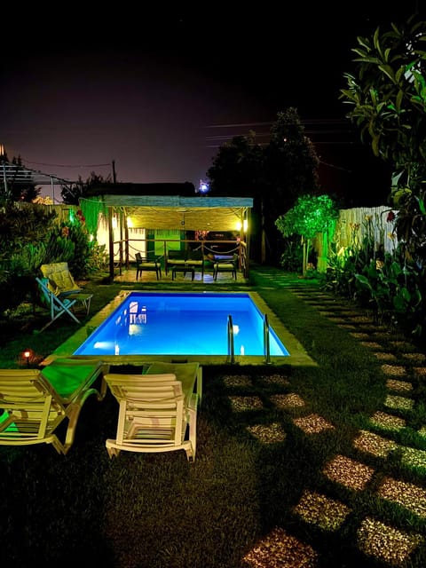 Night, Garden, Pool view, Swimming pool, sunbed