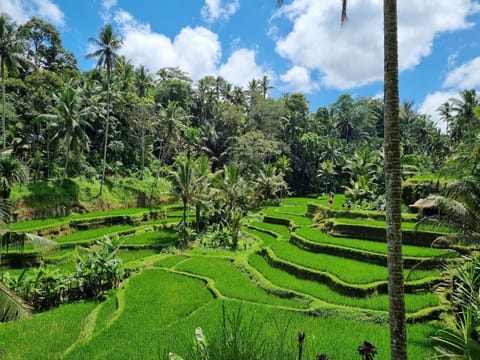 Nearby landmark, Natural landscape, Other