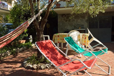 Garden, sunbed