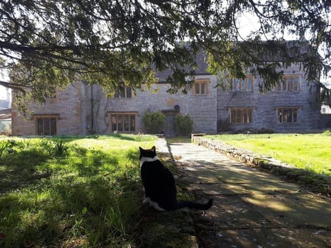 Property building, Day, Garden