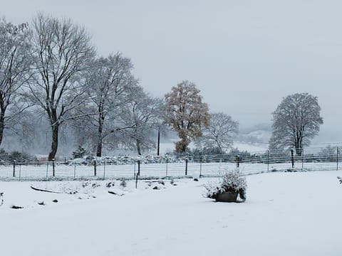 Natural landscape, Winter