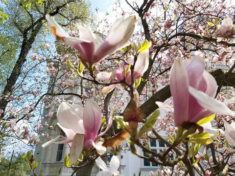 Garden, Garden