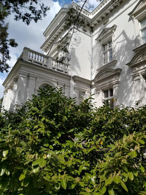 Property building, Garden view