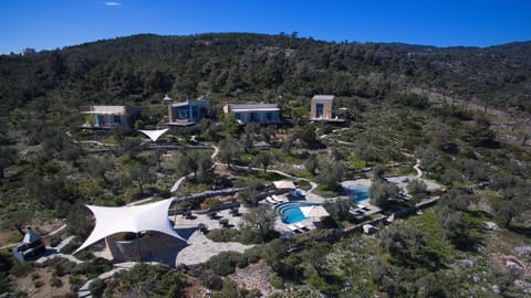 Bird's eye view, Swimming pool