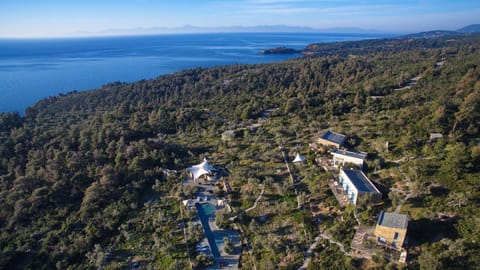 Natural landscape, Bird's eye view, Swimming pool