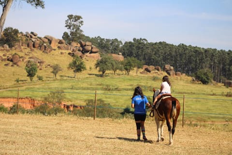 Day, People, Natural landscape, Horse-riding, Animals, children