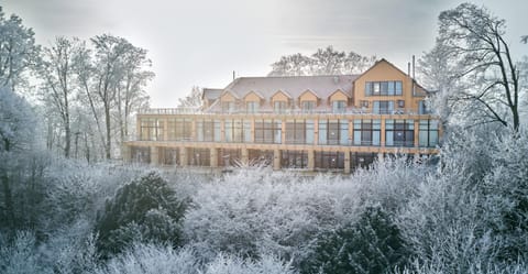 Property building, Winter