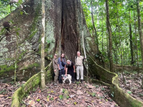 Tambopata Edosikiana Lodge Bed and Breakfast in Madre de Dios, Peru