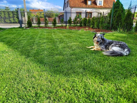 Garden, Animals