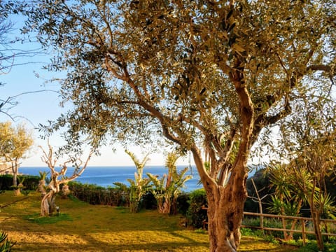 Natural landscape, Garden, Sea view