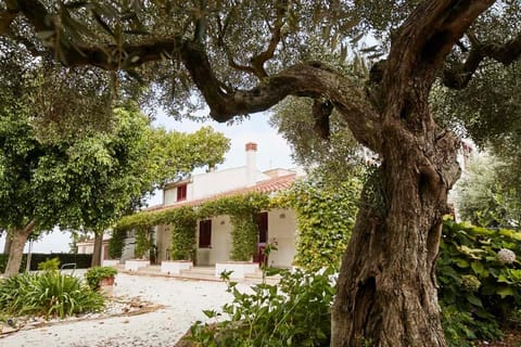 La Casa Bianca Vacation rental in Marsala