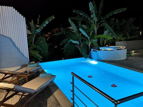 Patio, Night, Natural landscape, Hot Tub, Pool view, Swimming pool, sunbed