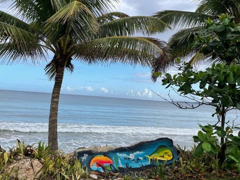 MY DREAM BEACH HOUSE Apartment in Puerto Rico