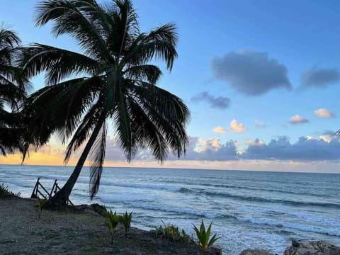 MY DREAM BEACH HOUSE Apartment in Puerto Rico