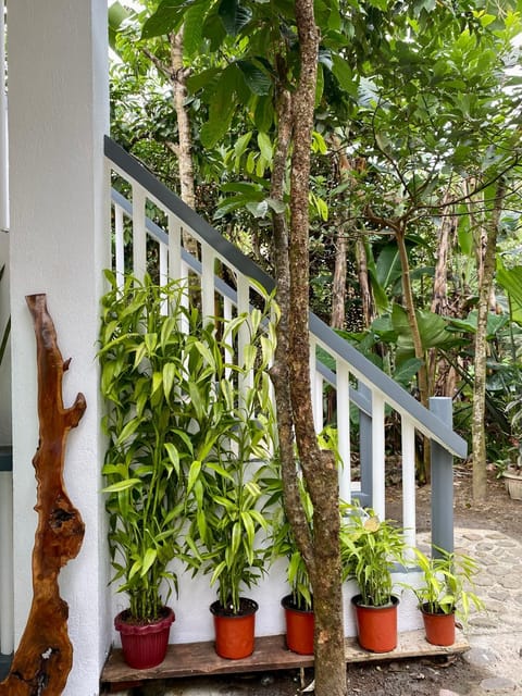 Casa Calanog House in Tagaytay