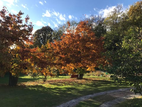 Garden, Garden view