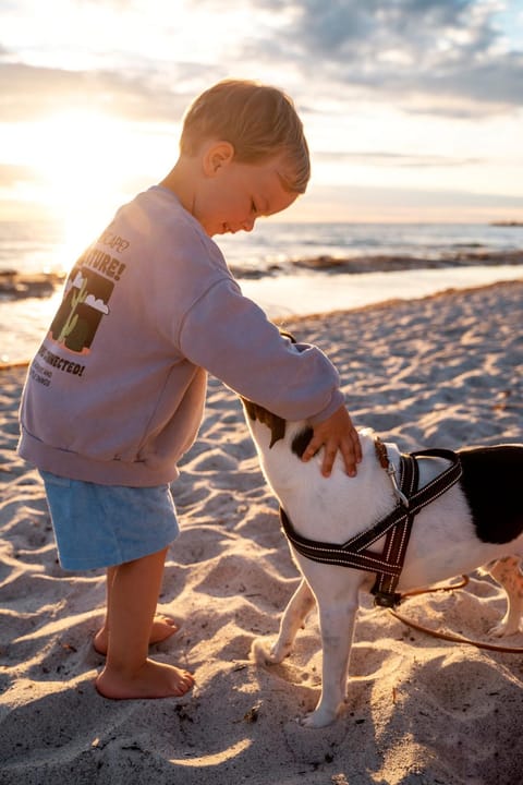 Beach, Pets, children