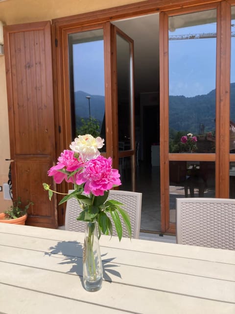 Patio, Balcony/Terrace, Dining area