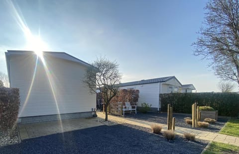 Patio, Garden, Garden view