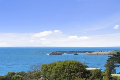 Seaview on Seaview Exceptional and Spacious With Sensational Views House in Apollo Bay