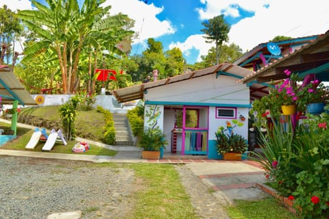 Natural landscape, Garden, Garden view, Street view, Swimming pool