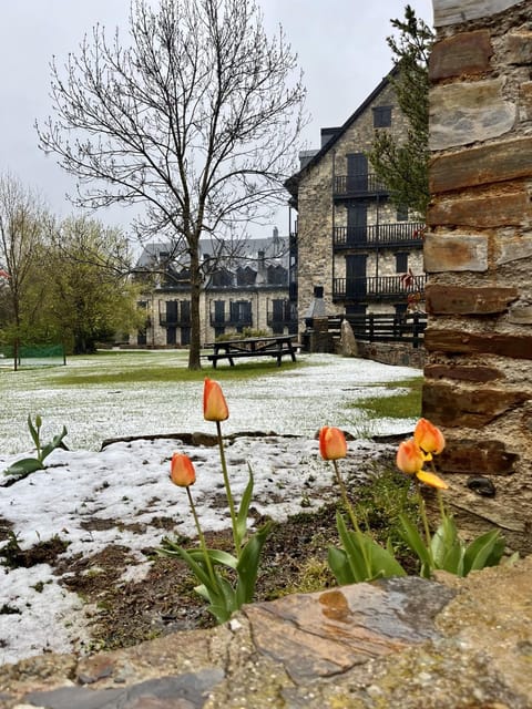 Estudio Las Perseidas - Vall de Boí Apartamento in Pla de l'Ermita