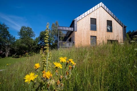 Property building, Spring, Day, Garden, Garden view