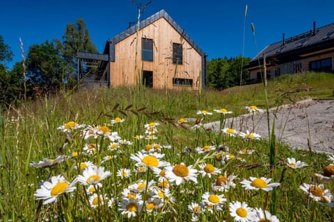 Spring, Day, Garden, Garden view