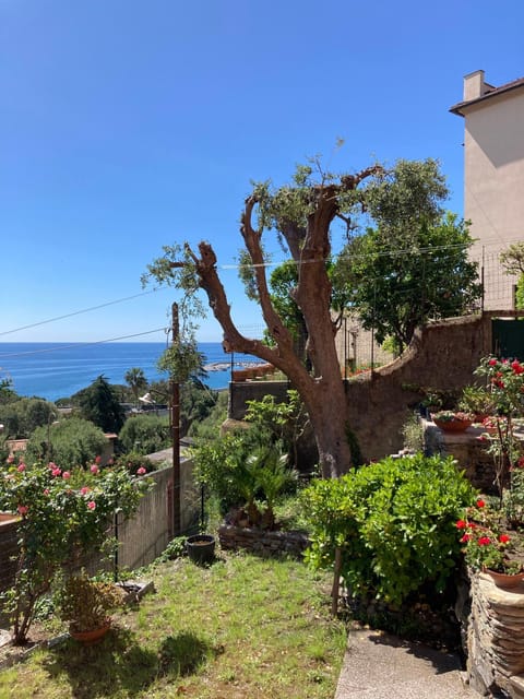Natural landscape, Garden, Garden view, Sea view