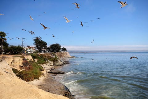 Pleasure Point Retreat Casa in Opal Cliffs