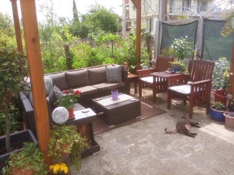 Patio, Seating area