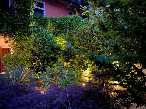 Spring, Garden view