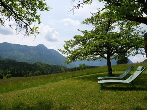 Ecologie Grundlsee Apartment hotel in Bad Aussee