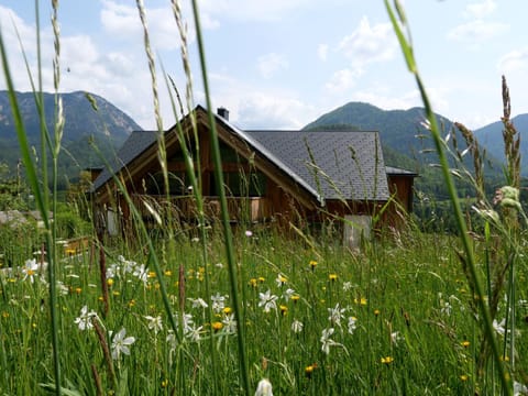 Ecologie Grundlsee Apartment hotel in Bad Aussee