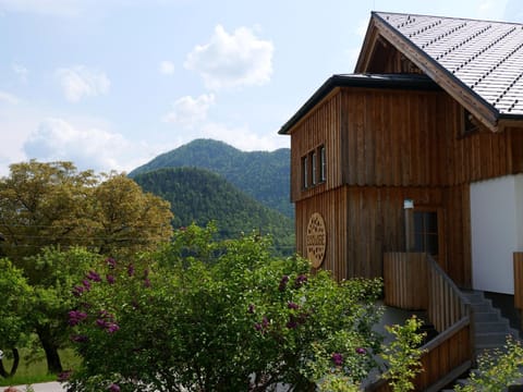 Ecologie Grundlsee Apartment hotel in Bad Aussee