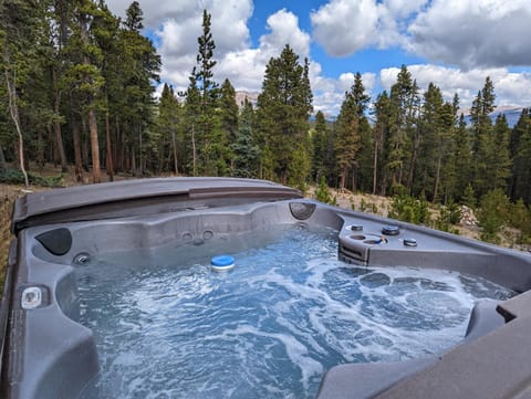 Serene Mountain Cabin Nestled Amongst the Pines - Alpenhaus House in Park County