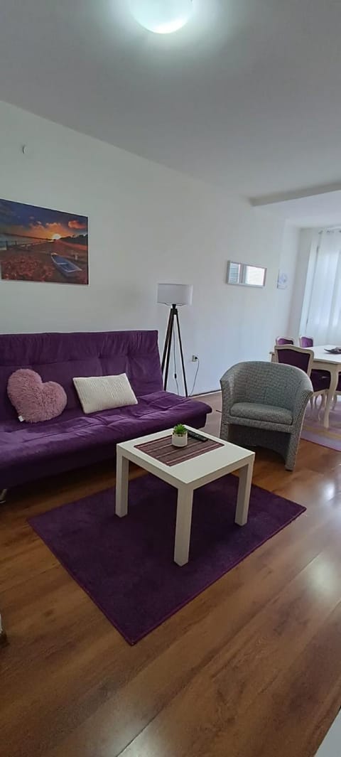 Splendid Two Bedroom Apartment Anastas Mitrev 25 Apartment in Skopje