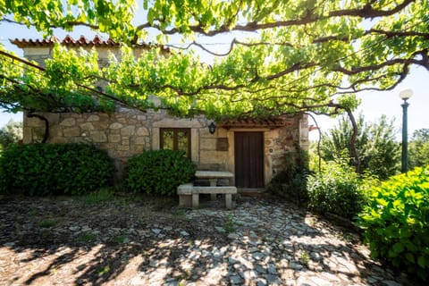 Property building, Patio, Garden