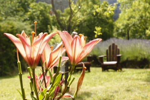 Garden, Garden view